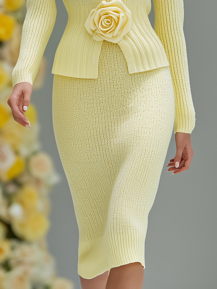 Elegant Floral Embellished Knit Top And Skirt Two-piece Set